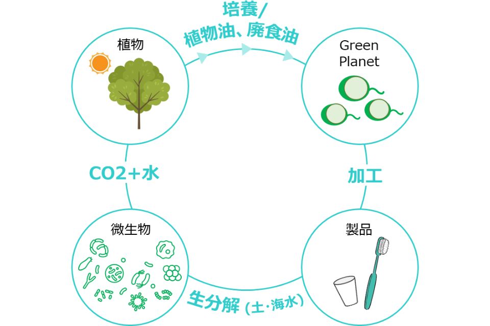 Green Planet®のライフサイクル