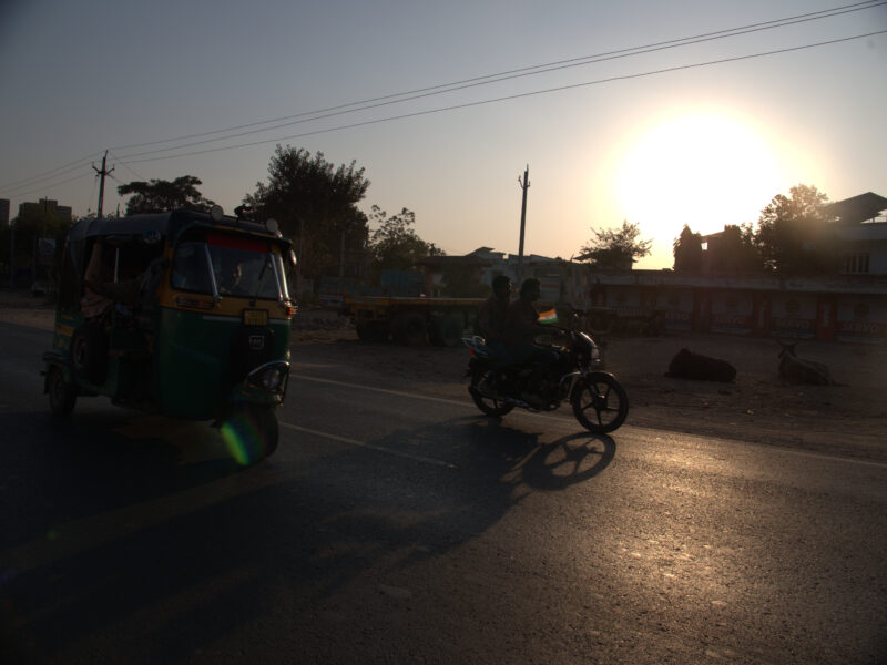 インドの道路は牛と共に渡れ